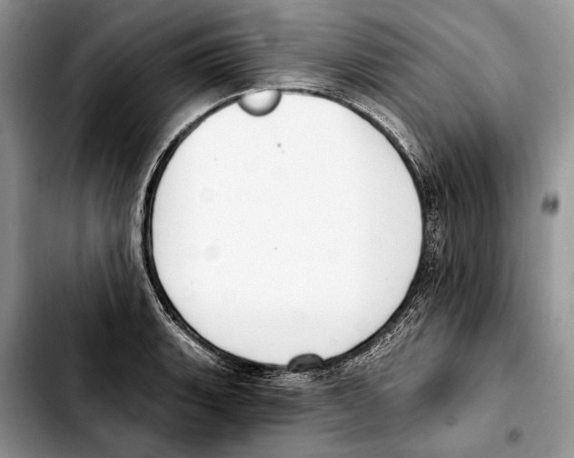 X0000103461135200810101144