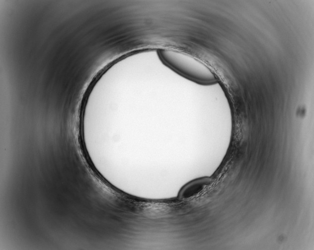 X0000103461136200810101144