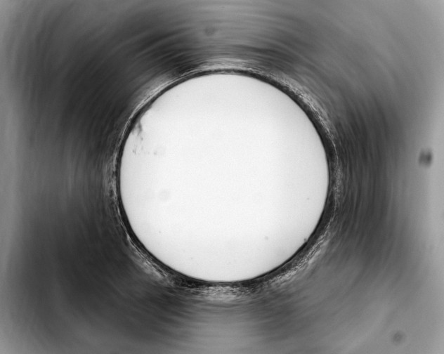X0000103461137200810101144