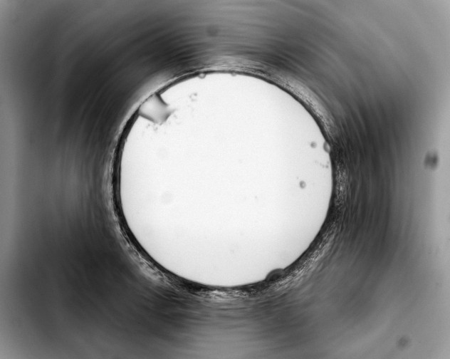 X0000103461138200810101144