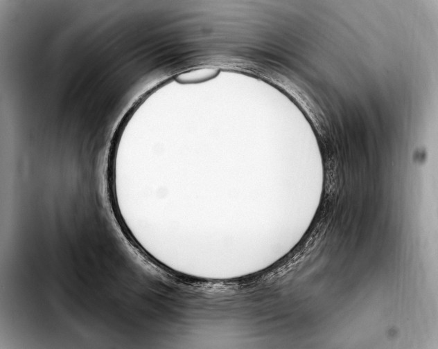 X0000103461139200810101144