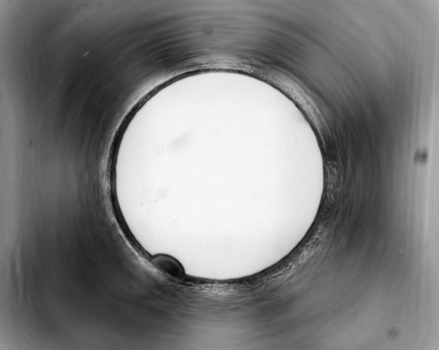 X0000103461141200810101144