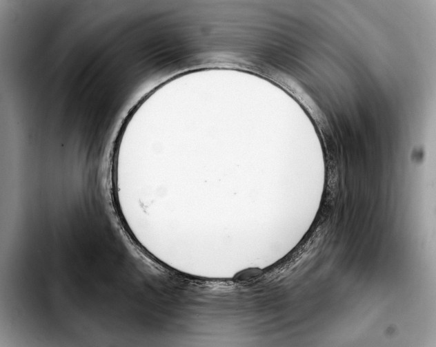 X0000103461144200810101144