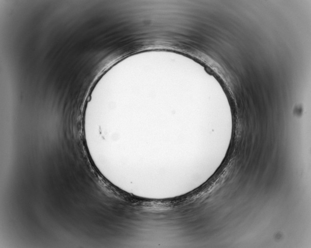 X0000103461145200810101144