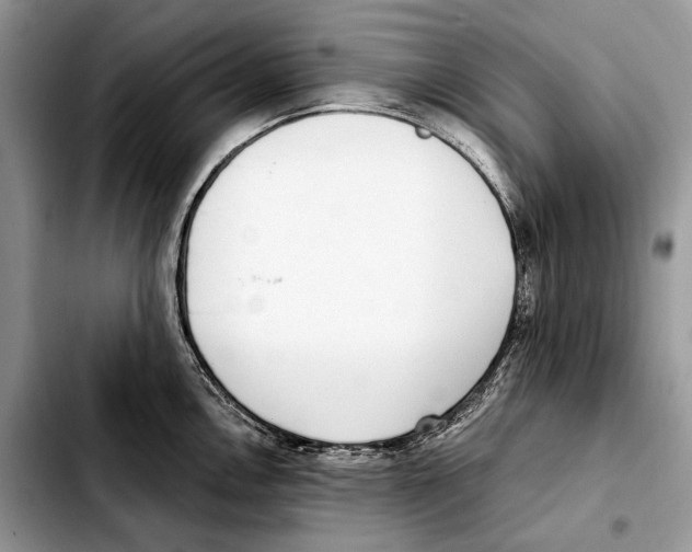 X0000103461146200810101144