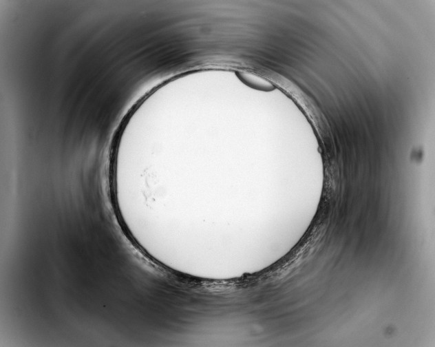 X0000103461147200810101144