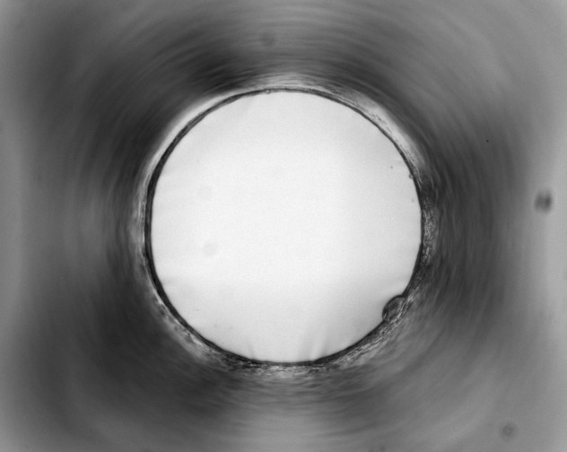 X0000103461148200810101144