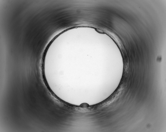 X0000103461149200810101144