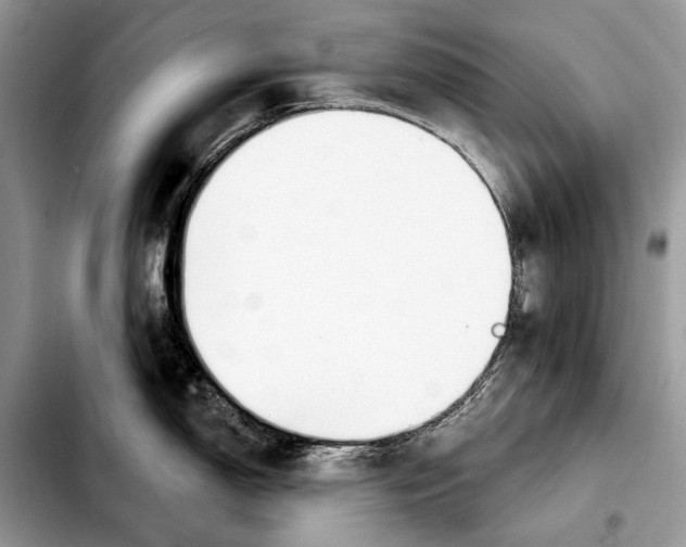 X0000103461150200810101144