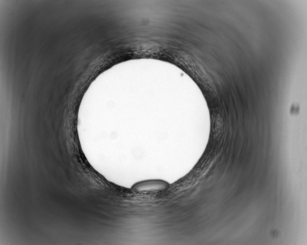 X0000103461153200810101144