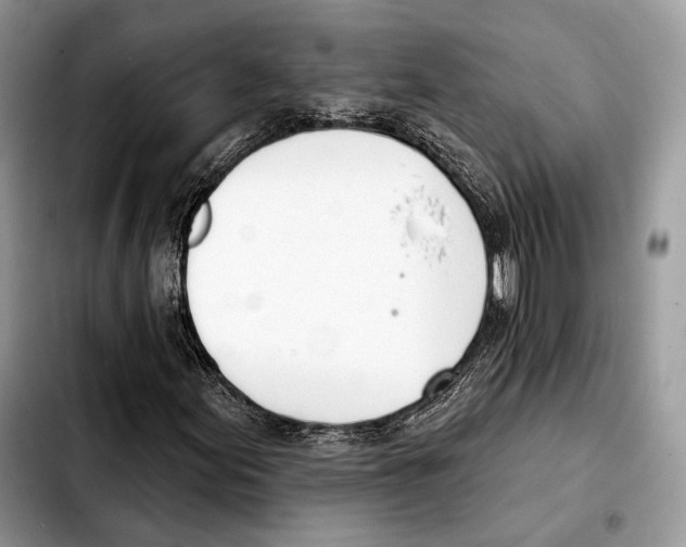 X0000103461155200810101144