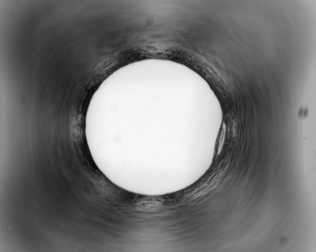 X0000103461156200810101144