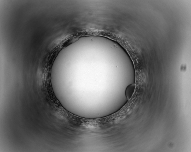 X0000103461157200810101144