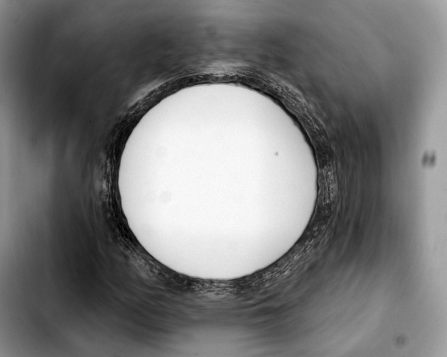 X0000103461158200810101144