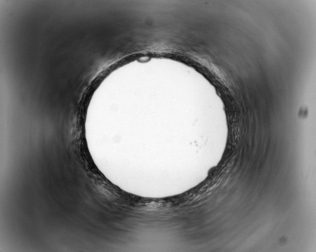 X0000103461160200810101144