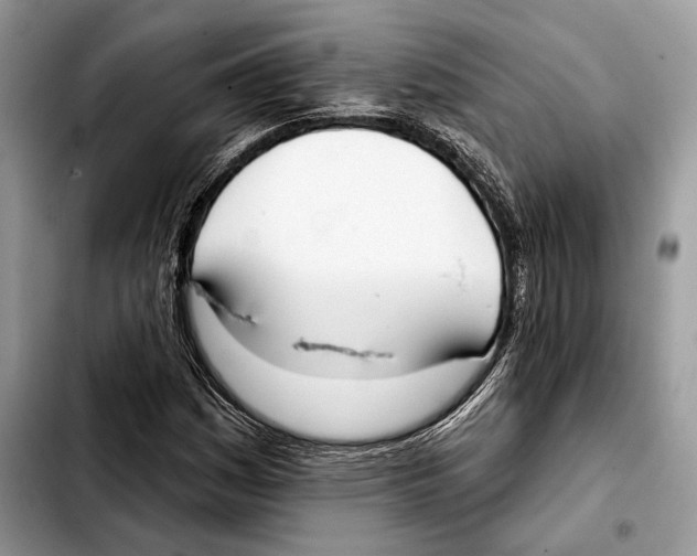 X0000103461161200810101144