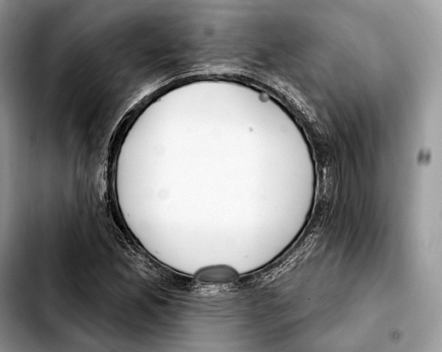 X0000103461165200810101143