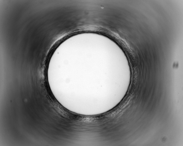X0000103461166200810101143
