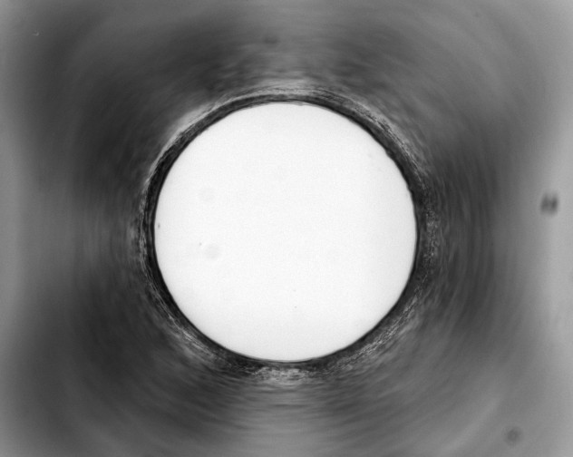 X0000103461168200810101143