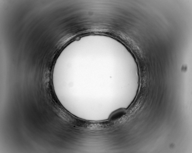X0000103461169200810101143