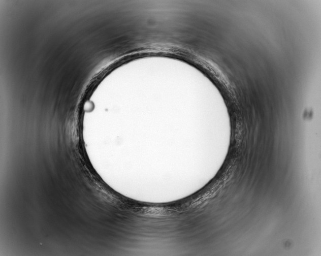 X0000103461172200810101143