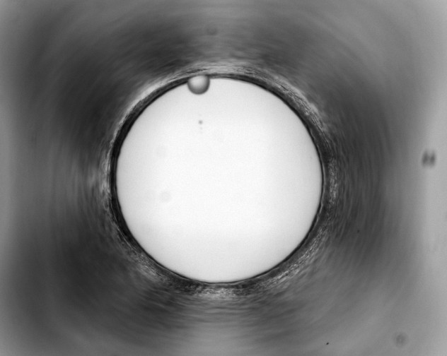 X0000103461174200810101143