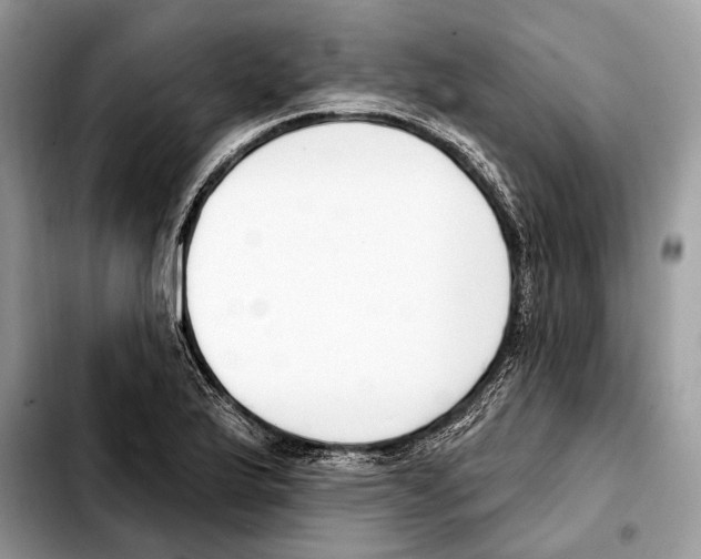 X0000103461175200810101143