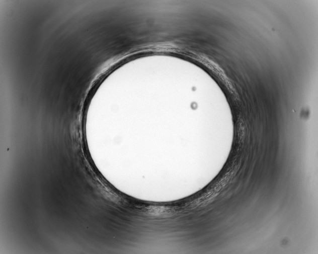 X0000103461176200810101143