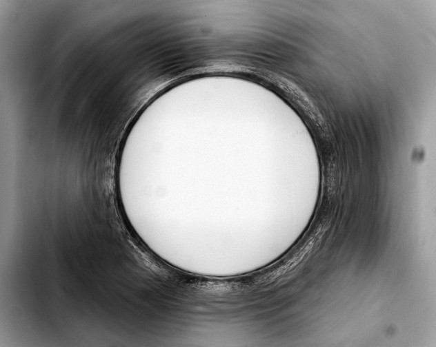 X0000103461177200810101143
