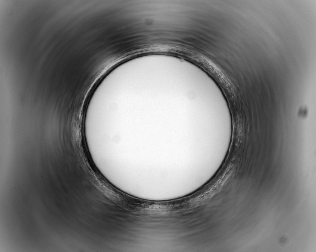 X0000103461178200810101143