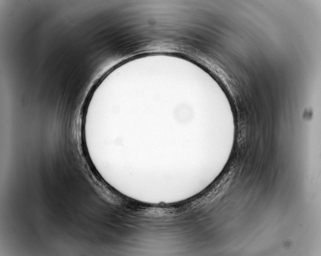 X0000103461179200810101143
