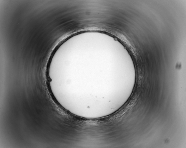 X0000103461181200810101143