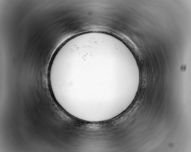 X0000103461182200810101143