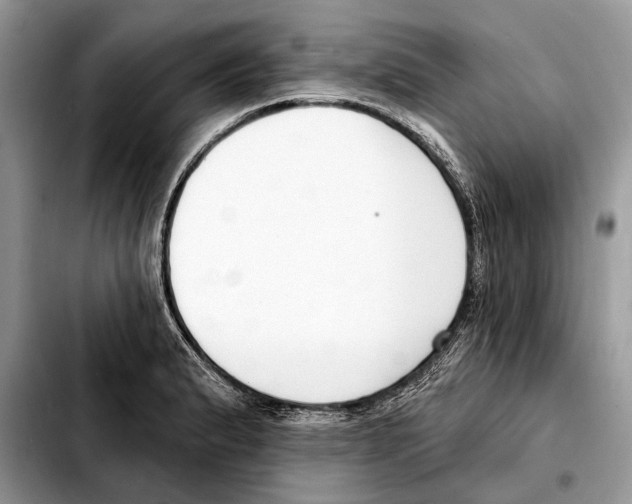 X0000103461183200810101143