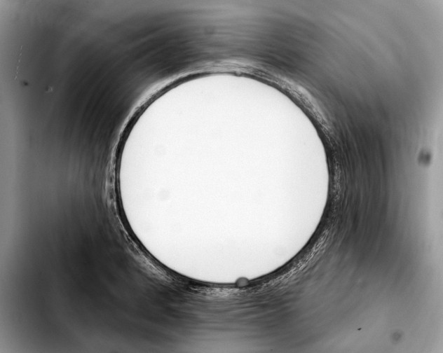 X0000103461184200810101143