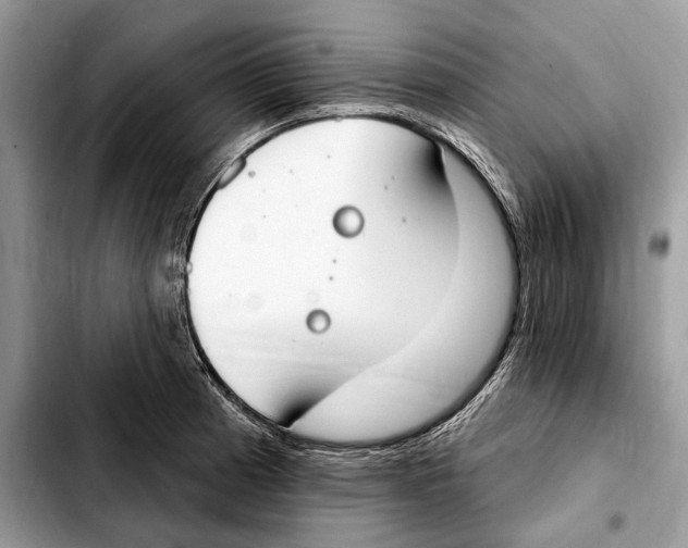X0000103461185200810101143