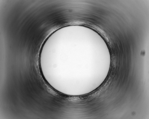 X0000103461186200810101143