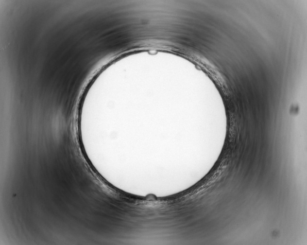 X0000103461188200810101143