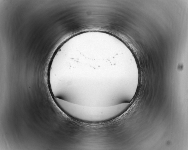 X0000103461189200810101143