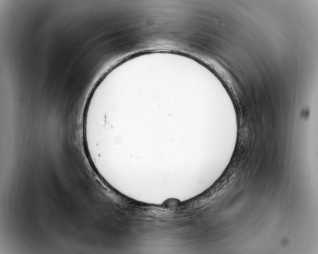 X0000103461191200810101143