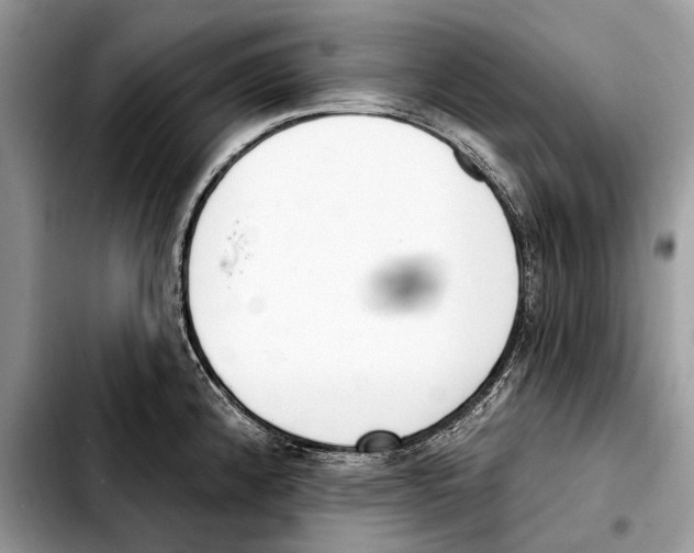 X0000103461192200810101143