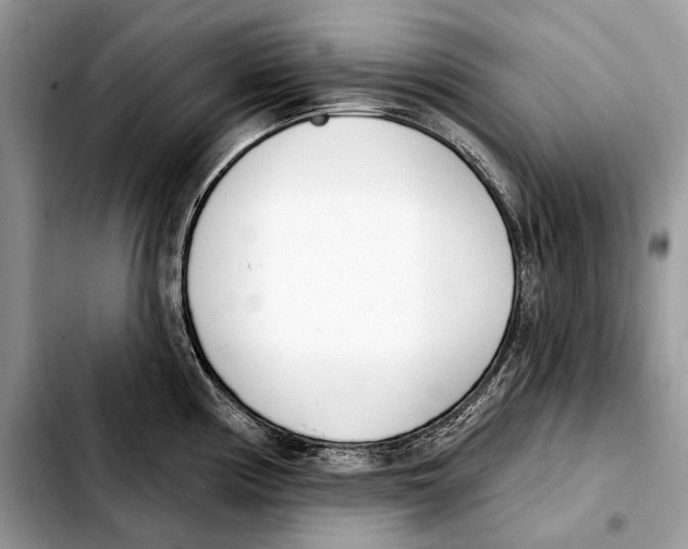 X0000103461194200810101143