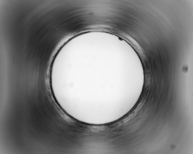 X0000103461196200810101143