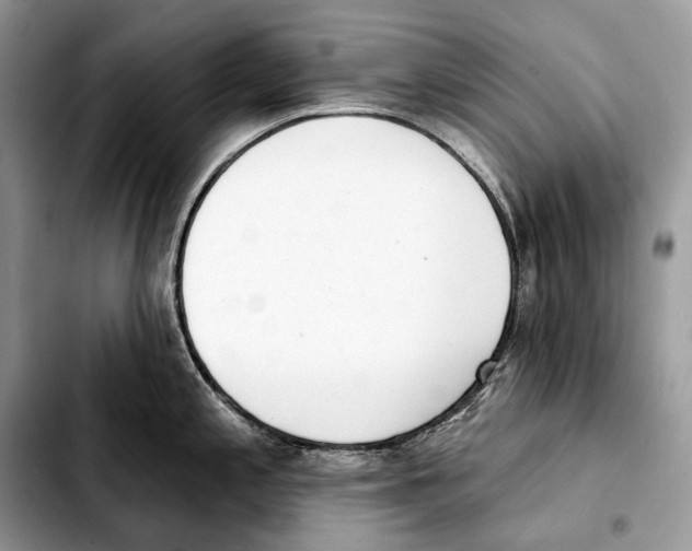X0000103461197200810101143