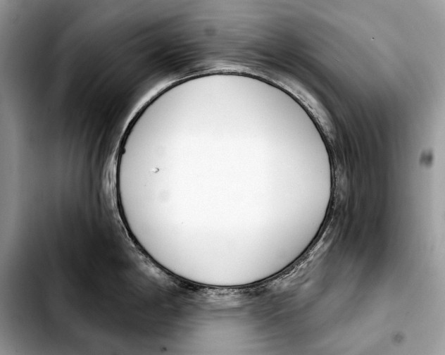 X0000103461198200810101143