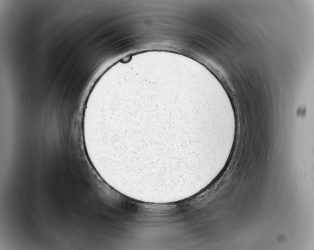 X0000103461200200810101143
