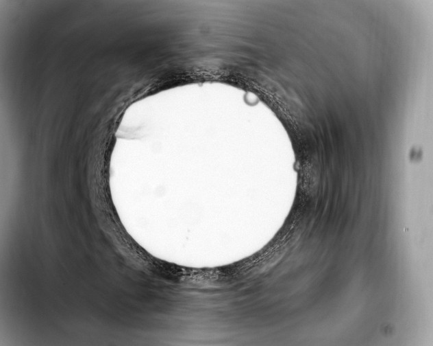 X0000103461201200810101142