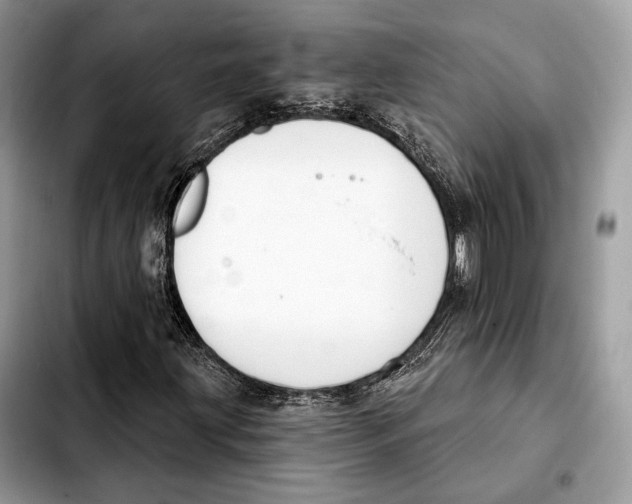 X0000103461203200810101142