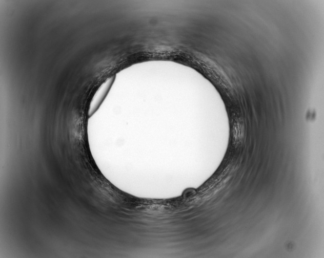X0000103461204200810101142
