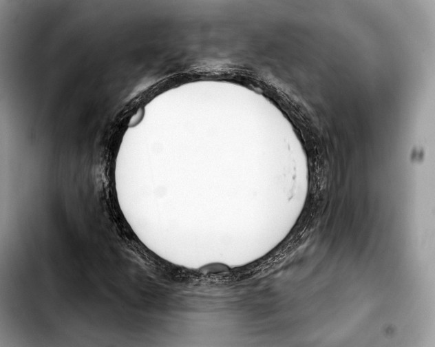X0000103461206200810101142